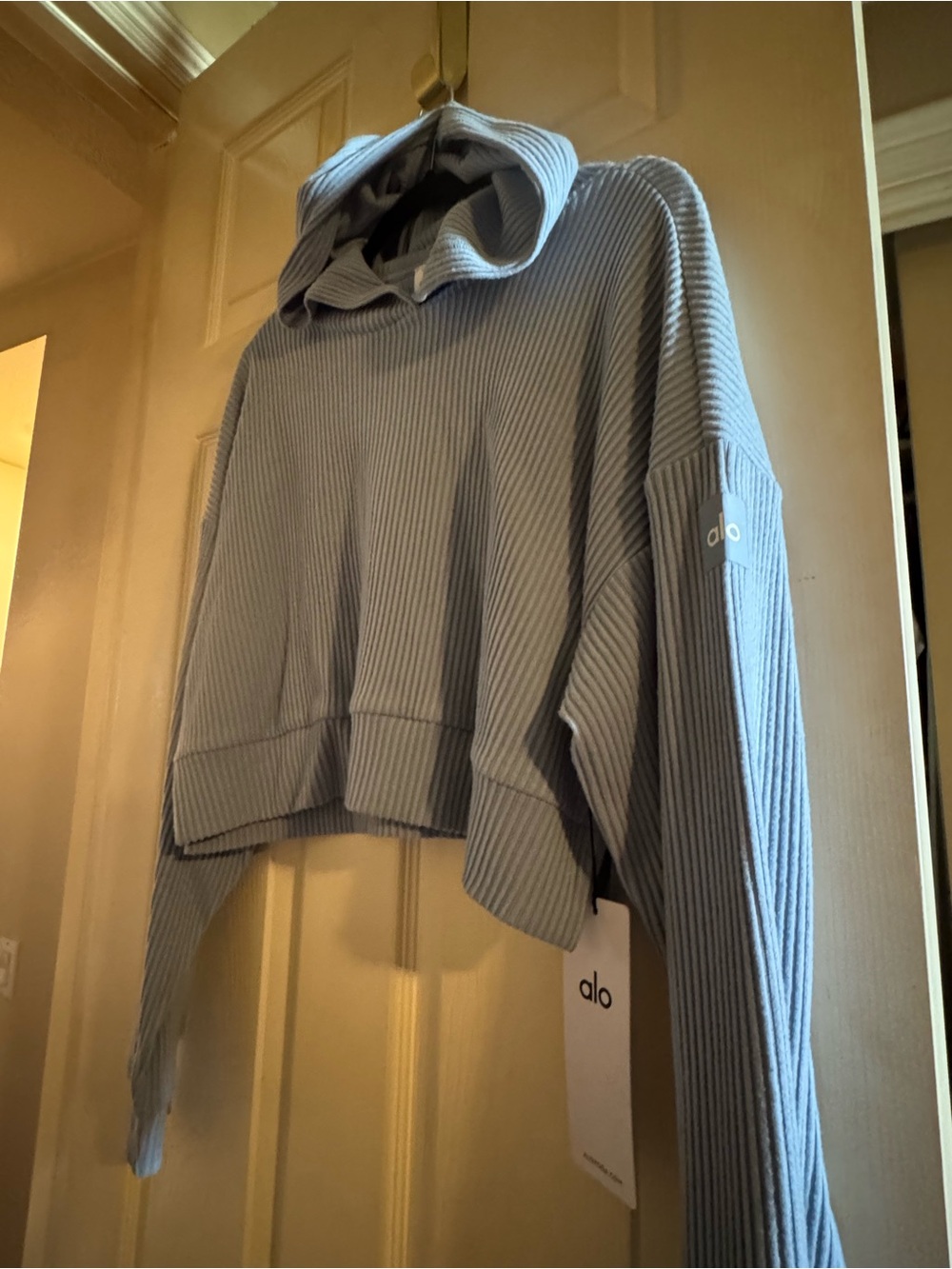 ALO Yoga Ribbed Cropped Muse Hoodie in Light Blue (Celestial Blue) - Picture 4 of 6